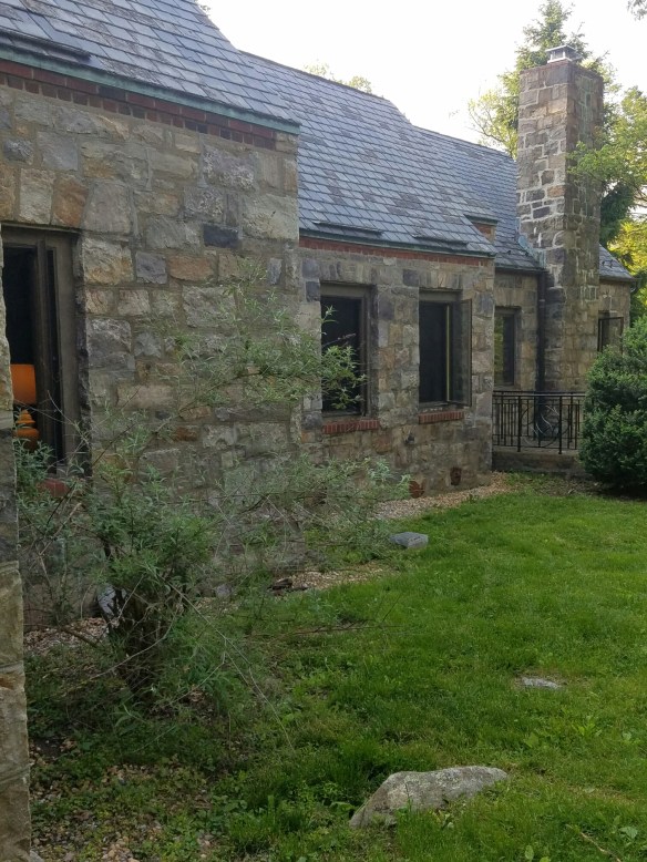 wp-1464306593541 image