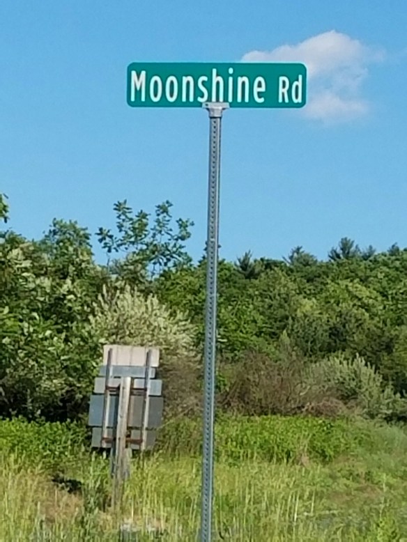 20160609_170331.jpg image