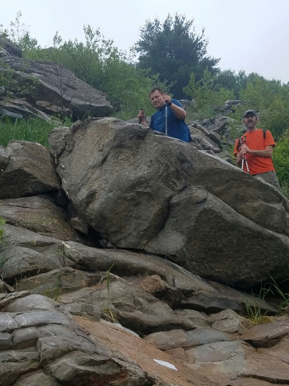 20160616_113039.jpg image